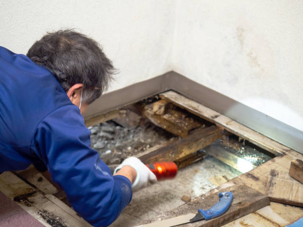 Water Damage Restoration in Lakes East, CT