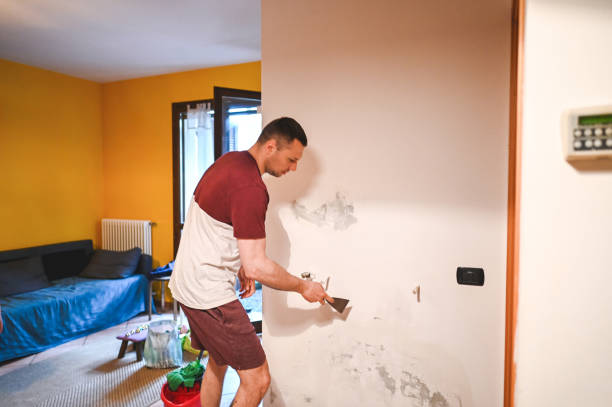 Best Toxic Mold Removal  in Lakes East, CT